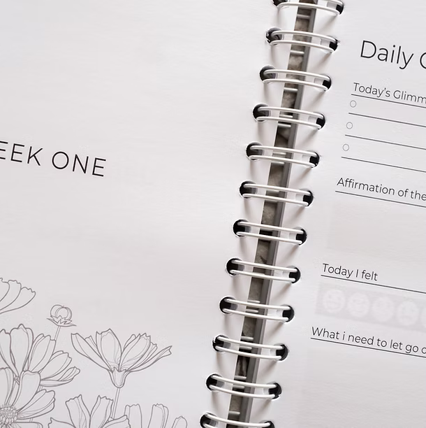 The Mindful Mum PDA PRE ORDER The Ultimate Wellbeing Journal for SEN Parents