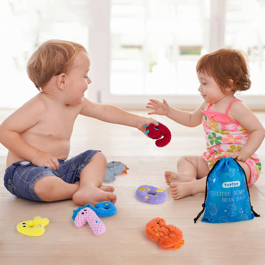 teytoy Texture Sensory Bean Bags Toys for Autism, 10 Fidget Sensory Number Toys