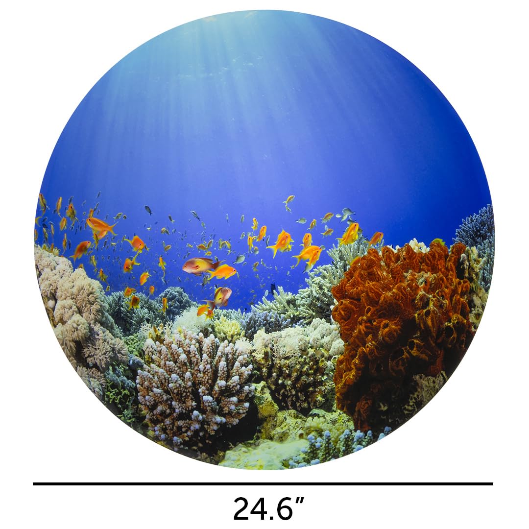 tickit 73560 Under the Sea Discovery Play Mat -Water Play Mat - Sensory Mat - Toy Mat - Sensory Exploration