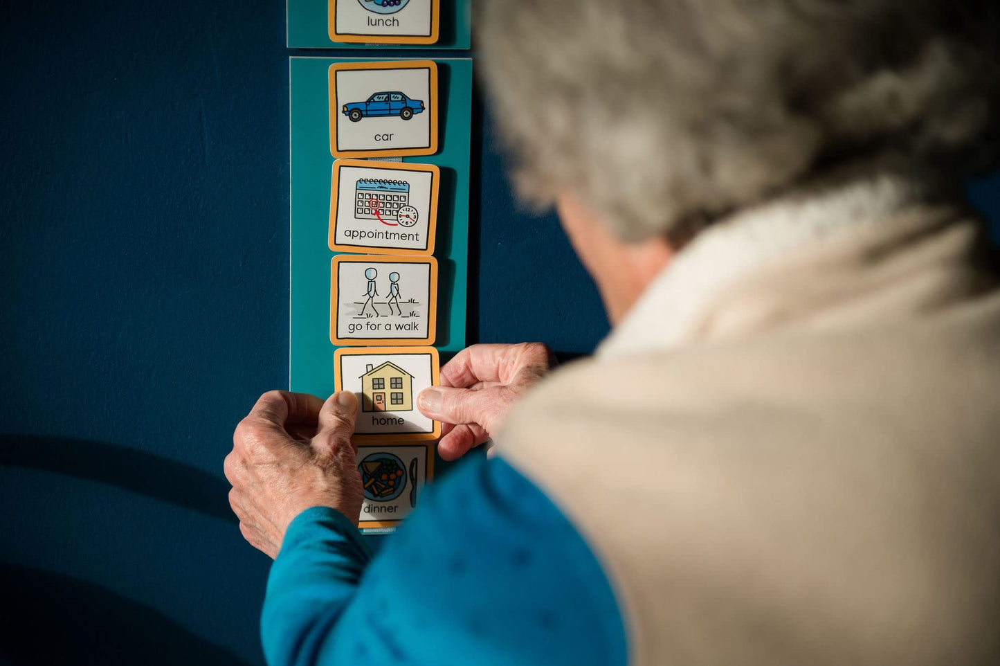 Visual Timetable for Adults Visual Schedule communication cards for stroke victims, dementia, learning difficulties (Green)
