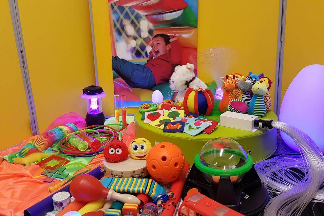 Cerebra Toy and book library