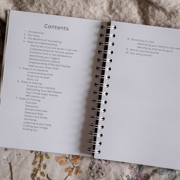 The Mindful Mum PDA PRE ORDER The Ultimate Wellbeing Journal for SEN Parents