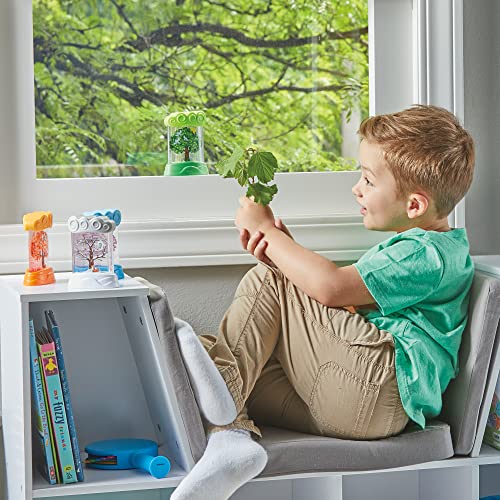 Learning Resources Changing Seasons Sensory Tubes, Sensory Fidget Tubes, Ages 3+, Learning Weather for Kids, Anxiety Calming Tools, Stress Relief Toys, Calm Down Corner Supplies