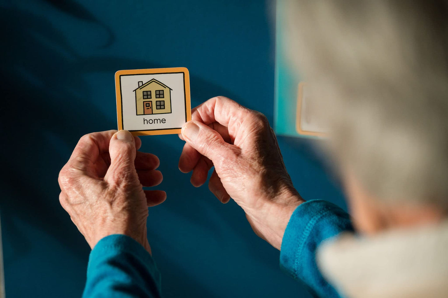 Visual Timetable for Adults Visual Schedule communication cards for stroke victims, dementia, learning difficulties (Green)