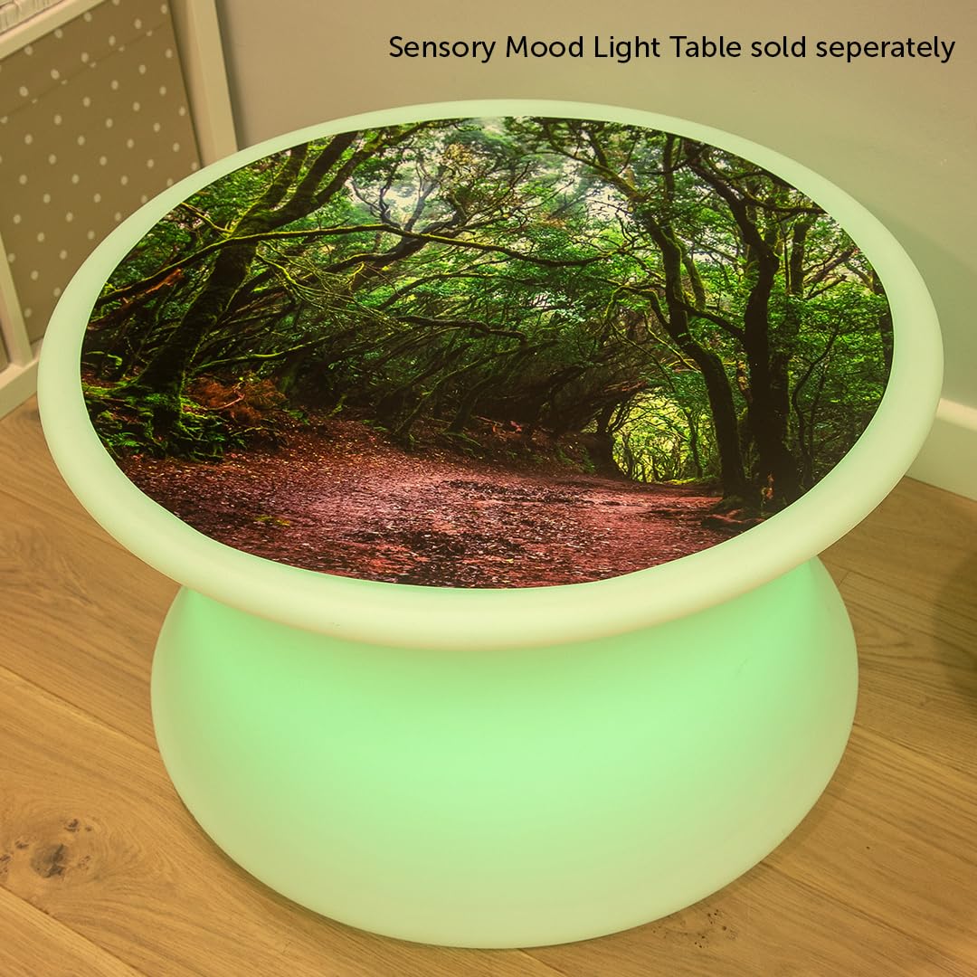 tickit 73562 Forest Discovery Play Mat - Sensory Mat - Toy Mat - Sensory Exploration